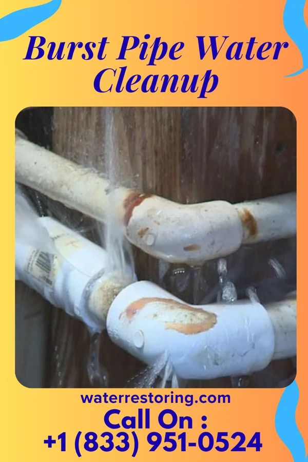 Burst Pipe Water Cleanup in East Rochester, NY