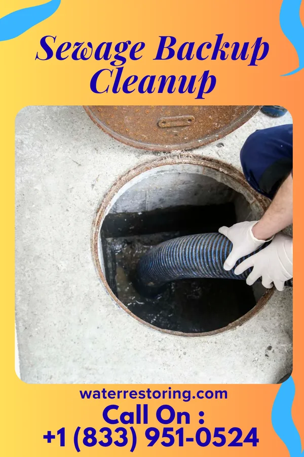 Sewage Backup Cleanup in East Rochester, NY